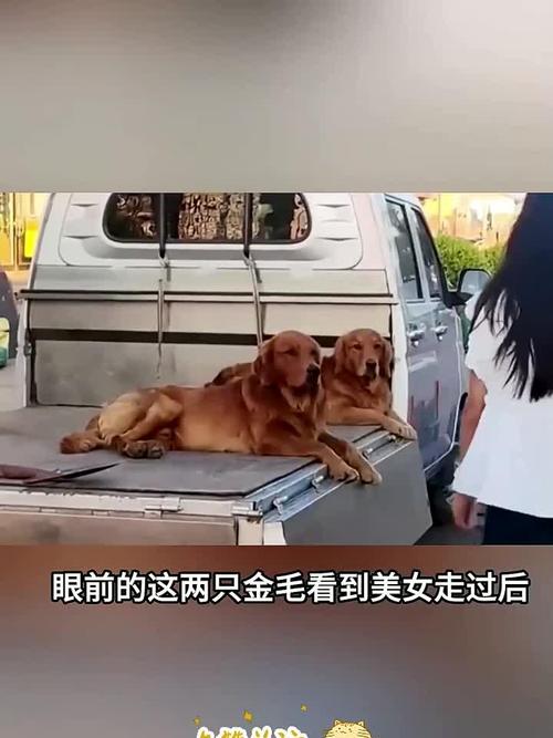 乱公伦媳..~啊~视频在线观看